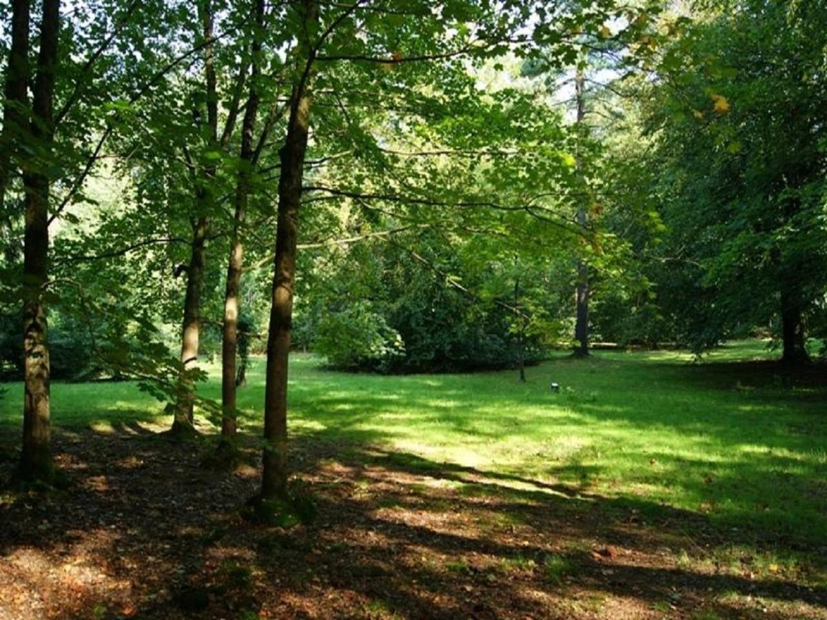Appartement Le Jardin à Lison Extérieur photo